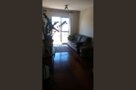 Apartamento à venda com 3 quartos, 66m² em Vila Industrial (Campinas), Campinas