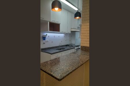 Foto 15 de apartamento para alugar com 2 quartos, 56m² em Vila Monte Alegre, São Paulo