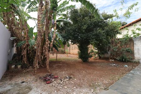 Quintal - Pomar de casa para alugar com 3 quartos, 80m² em Aclimação, Uberlândia