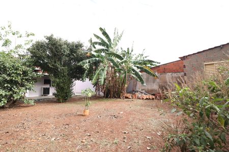 Quintal - Pomar de casa para alugar com 3 quartos, 80m² em Aclimação, Uberlândia