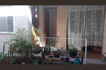 Casa à venda com 3 quartos, 152m² em Horto Florestal, São Paulo