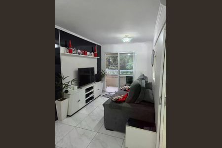 Apartamento à venda com 3 quartos, 78m² em Cambuci, São Paulo
