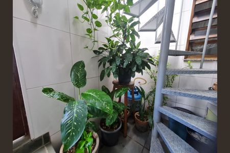 Casa à venda com 3 quartos, 135m² em Vila Medeiros, São Paulo