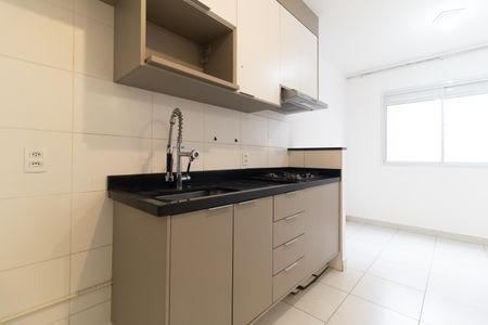 Apartamento para alugar com 36m², 2 quartos e sem vagaCozinha 