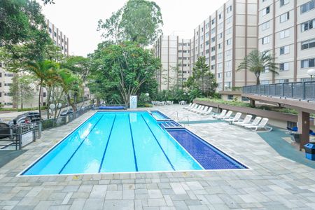 Área comum - Piscina de apartamento para alugar com 3 quartos, 69m² em Jardim Taquaral, São Paulo