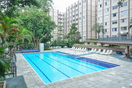 Área comum - Piscina de apartamento para alugar com 3 quartos, 69m² em Jardim Taquaral, São Paulo
