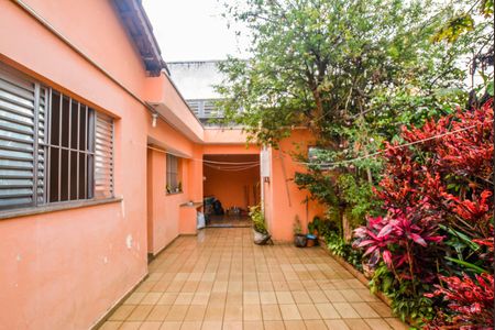 Quintal de casa à venda com 3 quartos, 200m² em Vila Alto de Santo Andre, Santo André