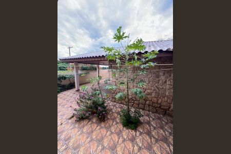 Casa à venda com 3 quartos, 250m² em Jardim Fernanda, Campinas