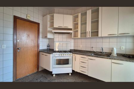 Cozinha de apartamento para alugar com 3 quartos, 100m² em Belvedere, Belo Horizonte