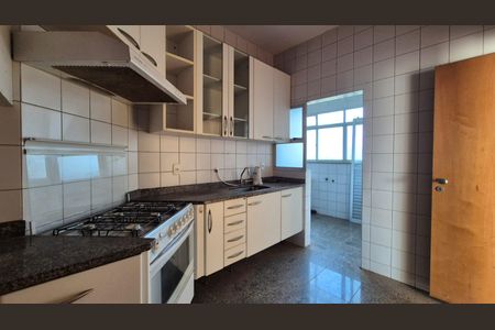 Cozinha de apartamento para alugar com 3 quartos, 100m² em Belvedere, Belo Horizonte
