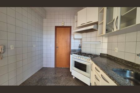 Cozinha de apartamento para alugar com 3 quartos, 100m² em Belvedere, Belo Horizonte