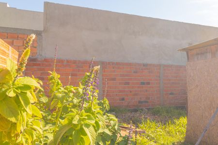 Casa para alugar com 36m², 2 quartos e 3 vagasQuintal