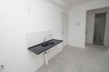 Cozinha de apartamento para alugar com 2 quartos, 35m² em Santa Maria, Santo André
