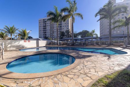 Área comum - Piscina de apartamento à venda com 2 quartos, 54m² em Candelária, Belo Horizonte