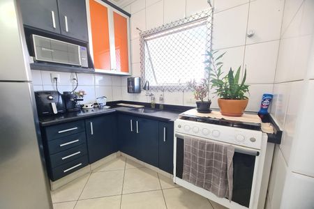 Cozinha de apartamento à venda com 2 quartos, 58m² em Quinta da Paineira, São Paulo