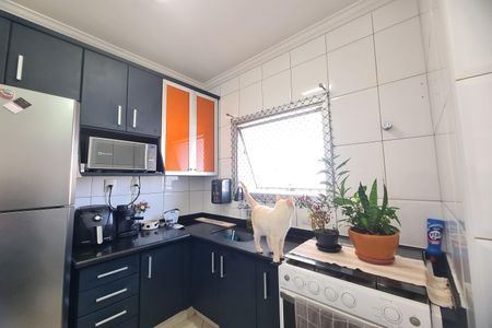 Cozinha de apartamento à venda com 2 quartos, 58m² em Quinta da Paineira, São Paulo