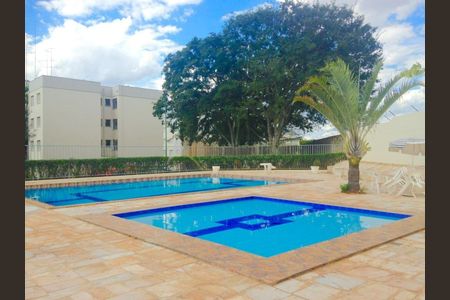 Piscina de apartamento à venda com 2 quartos, 55m² em Jardim Miranda, Campinas
