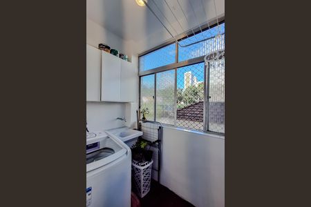 Área de Serviço de apartamento para alugar com 2 quartos, 56m² em Cambuci, São Paulo
