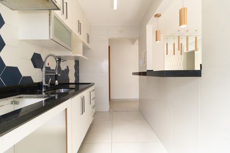 Apartamento para alugar com 50m², 2 quartos e 1 vagaCozinha 