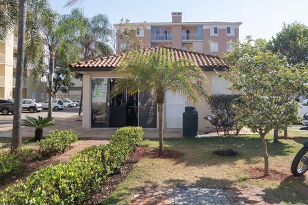 Área Comum - Academia de apartamento para alugar com 3 quartos, 70m² em Vila Sao Francisco, Hortolândia