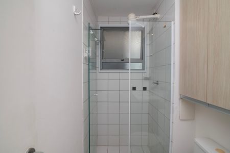Banheiro Social de apartamento para alugar com 3 quartos, 70m² em Vila Sao Francisco, Hortolândia