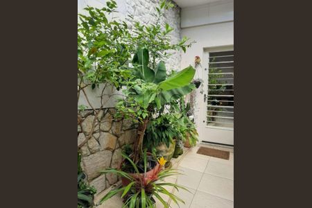 Casa à venda com 3 quartos, 217m² em Penha de França, São Paulo