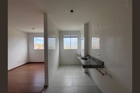 Cozinha de apartamento para alugar com 2 quartos, 45m² em Tijuca, Belo Horizonte