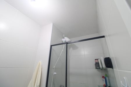 Banheiro de apartamento para alugar com 2 quartos, 34m² em Socorro, São Paulo