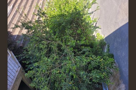 Casa à venda com 3 quartos, 150m² em Vila Romana, São Paulo