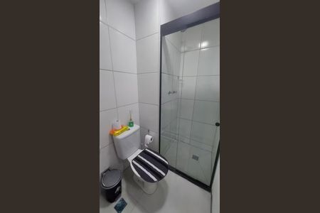 Banheiro de apartamento para alugar com 2 quartos, 42m² em Santo Cristo, Rio de Janeiro