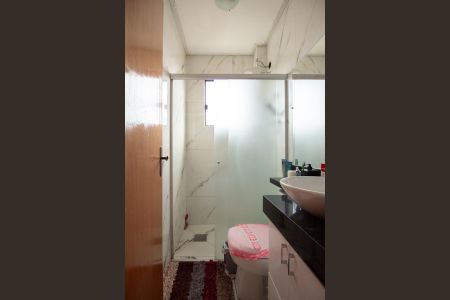 Banheiro  de apartamento à venda com 2 quartos, 55m² em Planalto, Belo Horizonte