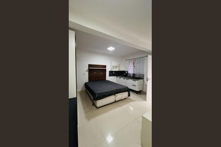Sala / Quarto de apartamento para alugar com 1 quarto, 30m² em Vila Oratorio, São Paulo