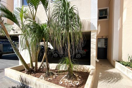 Área comum de apartamento para alugar com 2 quartos, 55m² em Palmeiras, Belo Horizonte