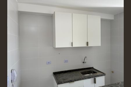Apartamento para alugar com 64m², 2 quartos e 2 vagas Apartamento para alugar com 64m², 2 quartos e 2 vagasCozinha - Torneira