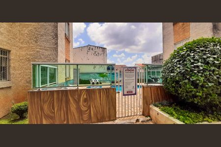 Área comum - Piscina de apartamento para alugar com 2 quartos, 51m² em Santa Maria, Osasco