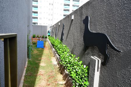Apartamento para alugar com 60m², 2 quartos e 1 vagaPet Place