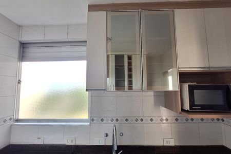Cozinha de apartamento para alugar com 2 quartos, 45m² em Parque Sao Vicente, Santo André