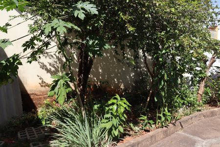 Casa à venda com 481m², 3 quartos e 6 vagasQuintal