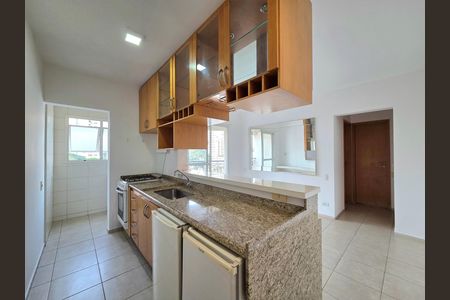 Cozinha de apartamento para alugar com 1 quarto, 45m² em Vila Nova Conceição, São Paulo