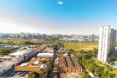Vista do Quarto 1 de apartamento para alugar com 2 quartos, 34m² em Veleiros, São Paulo