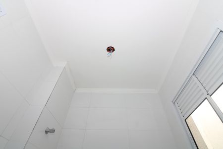 Área de Serviço de apartamento para alugar com 3 quartos, 46m² em Vila Talarico, São Paulo