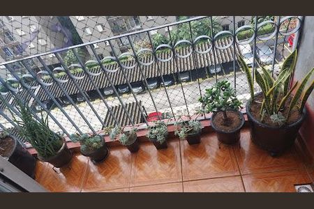 Apartamento à venda com 2 quartos, 64m² em Jardim Celeste, São Paulo