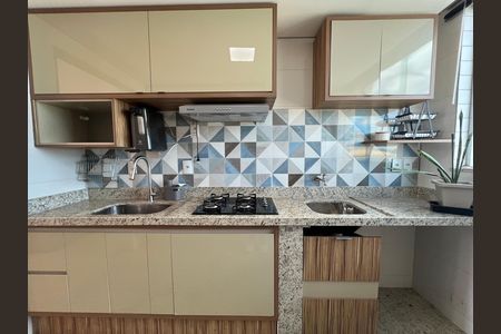 Cozinha - Armários de apartamento à venda com 2 quartos, 68m² em Heliópolis, Belo Horizonte