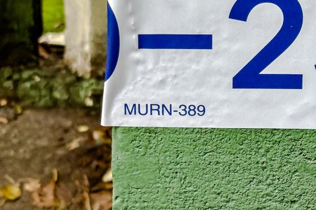 Apartamento para alugar com 49m², 2 quartos e 1 vagaMURN-389