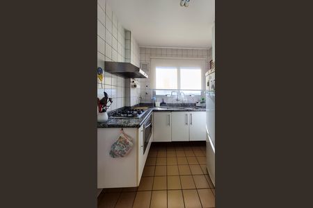 cozinha de apartamento para alugar com 3 quartos, 107m² em Vila Progredior, São Paulo