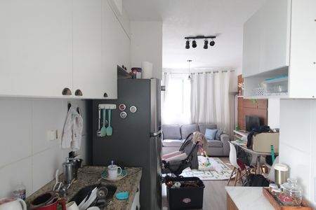 Cozinha e Área de Serviço de apartamento para alugar com 2 quartos, 43m² em Trevo, Belo Horizonte