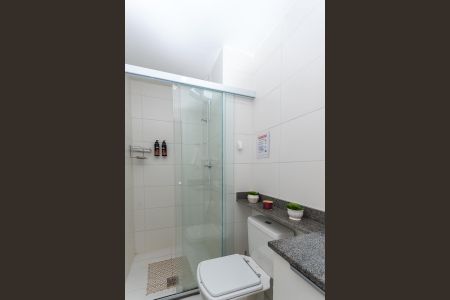 Banheiro Social de apartamento para alugar com 1 quarto, 35m² em Lapa de Baixo, São Paulo