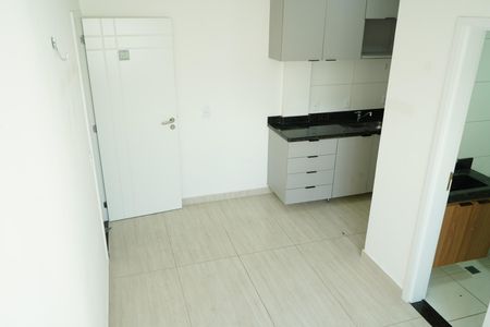 Cozinha de apartamento para alugar com 1 quarto, 30m² em Parque São Jorge, São Paulo