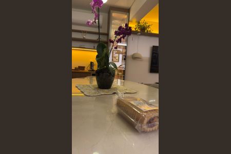 Foto 05 de apartamento à venda com 2 quartos, 66m² em Vila Mariana, São Paulo