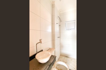 Banheiro de apartamento para alugar com 2 quartos, 53m² em Cidade Patriarca, São Paulo